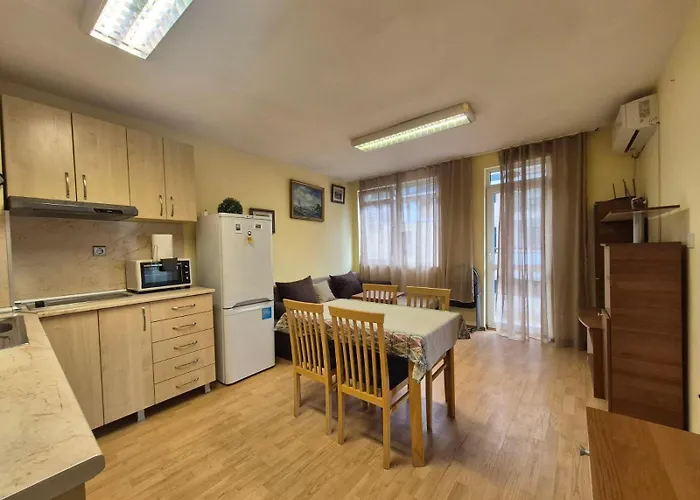 2 - Center Of * 布尔加斯